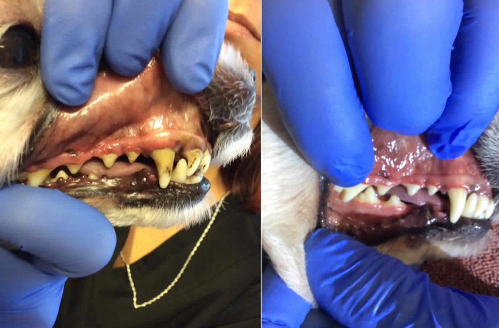 Before and After 1