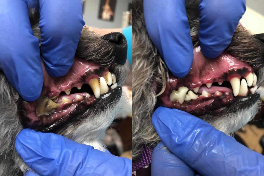 Before and After 11