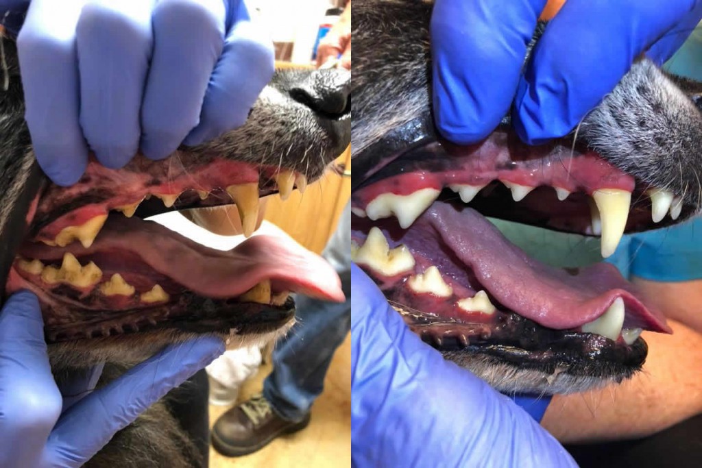 Before and After 12