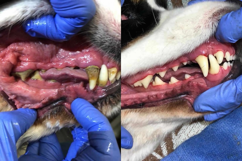 Before and After 14