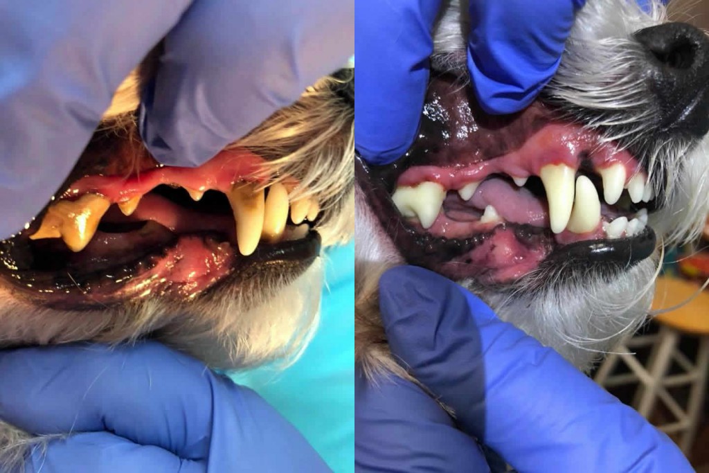 Before and After 15