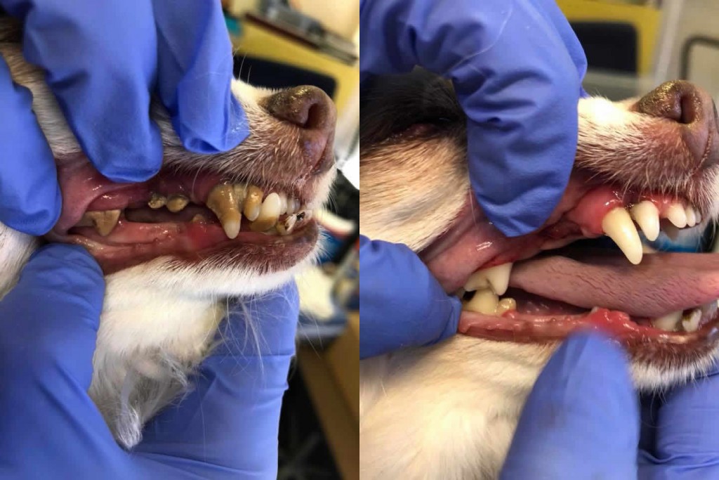 Before and After 16