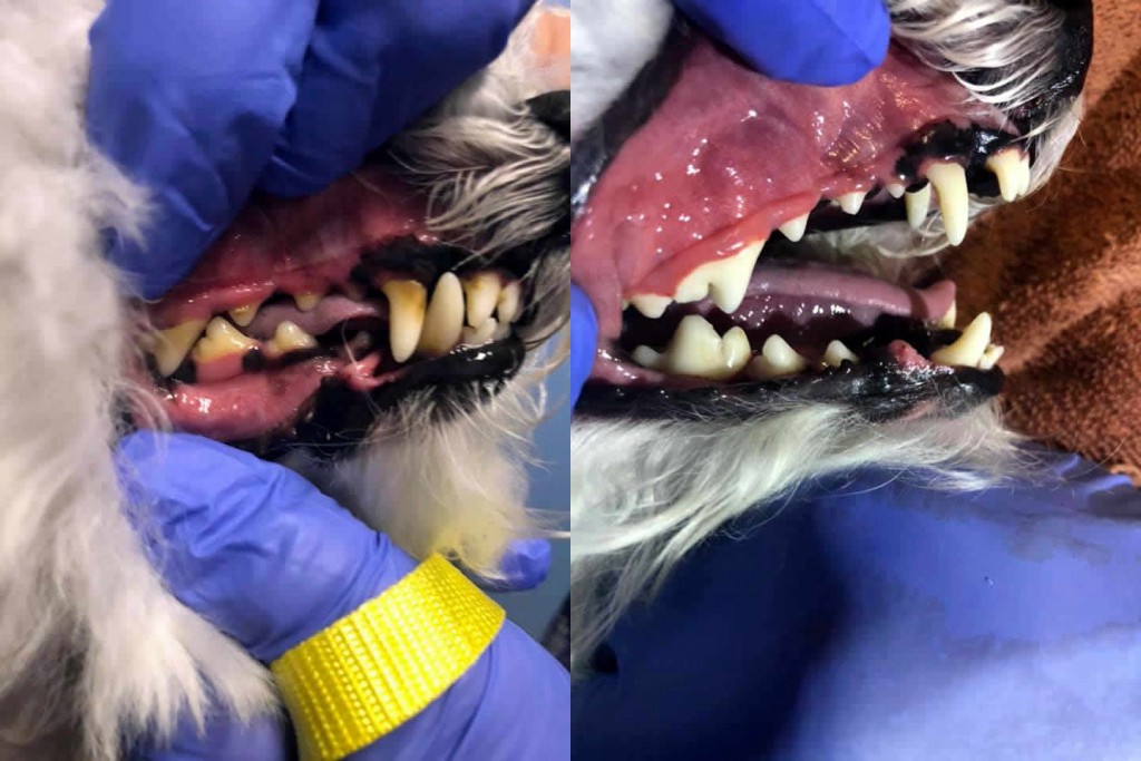 Before and After 2