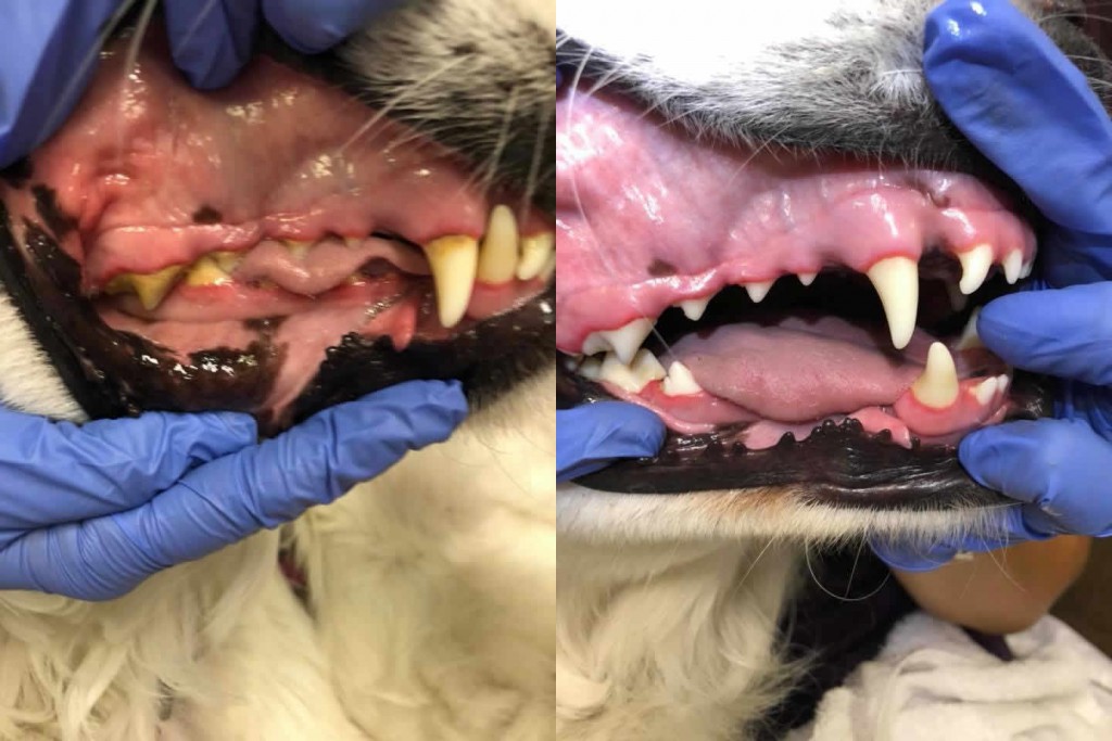 Before and After 20