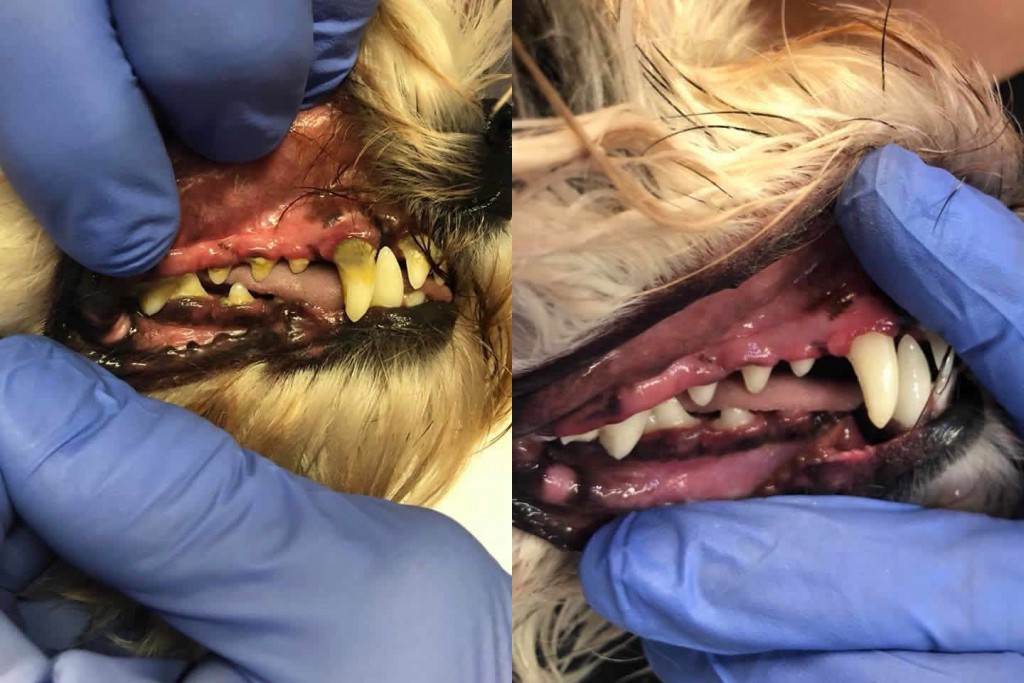 Before and After 21
