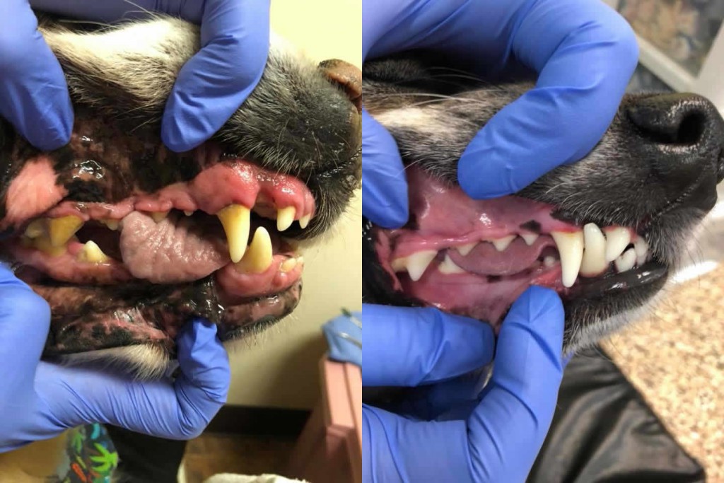 Before and After 23