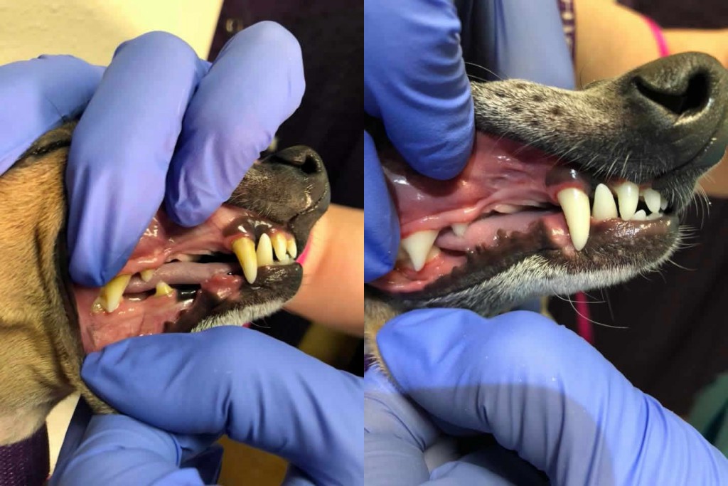 Before and After 24