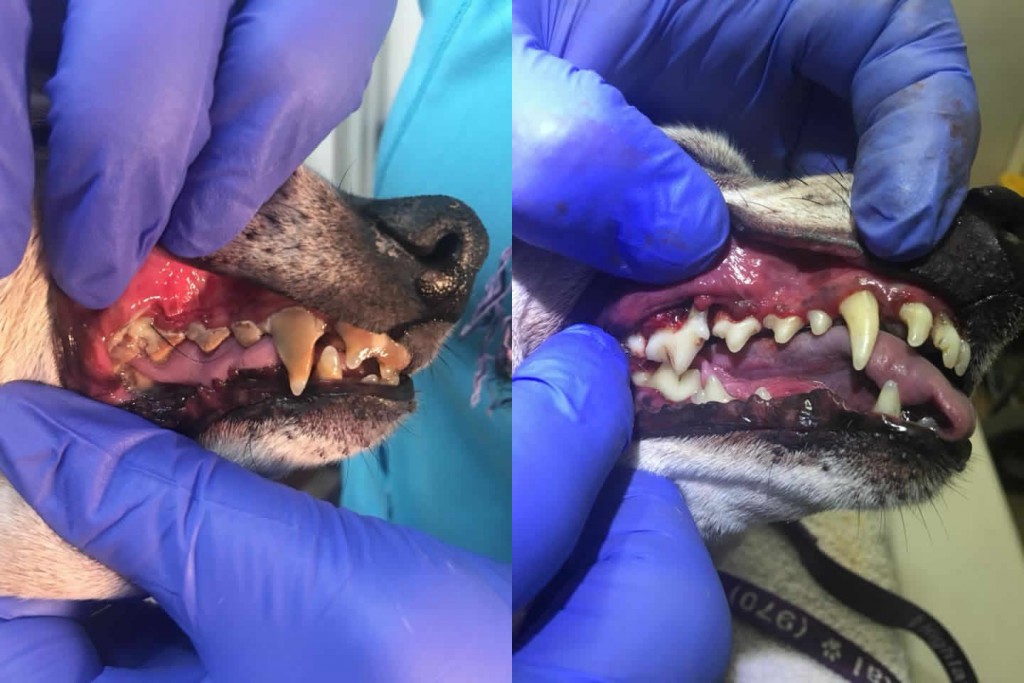 Before and After26