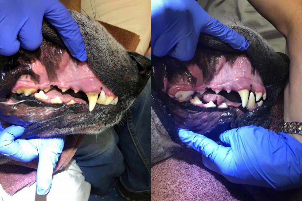 Before and After 3
