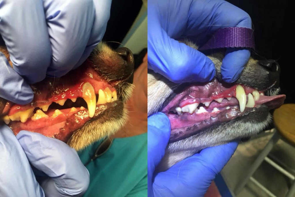 Before and After 30