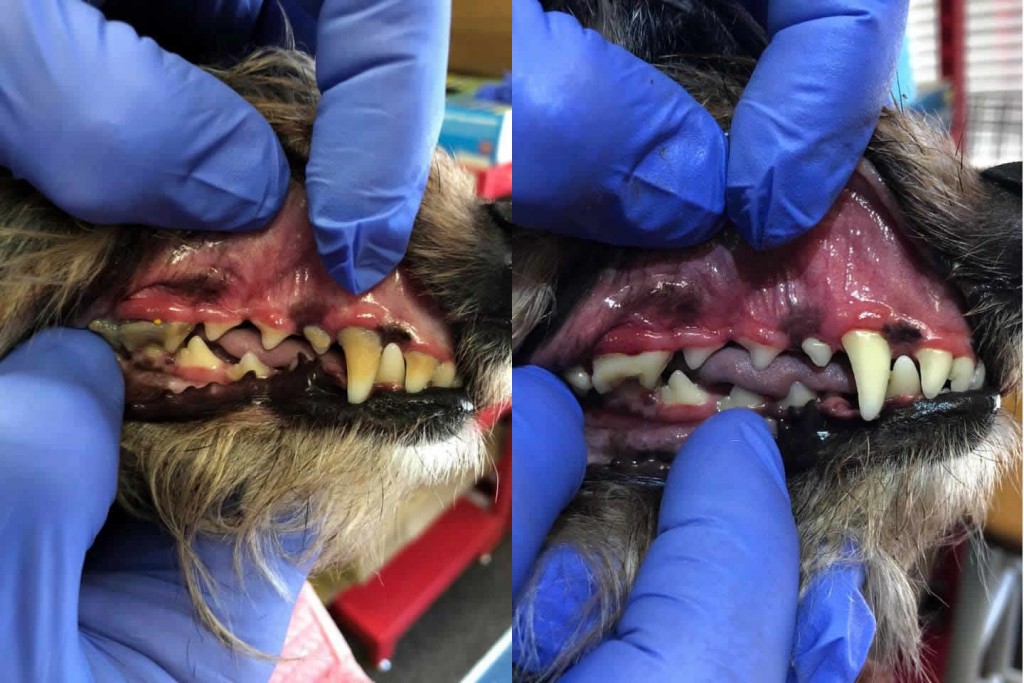Before and After 5