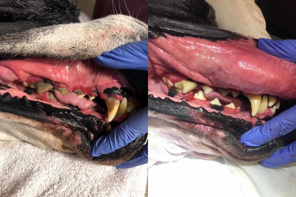 Before and After 6