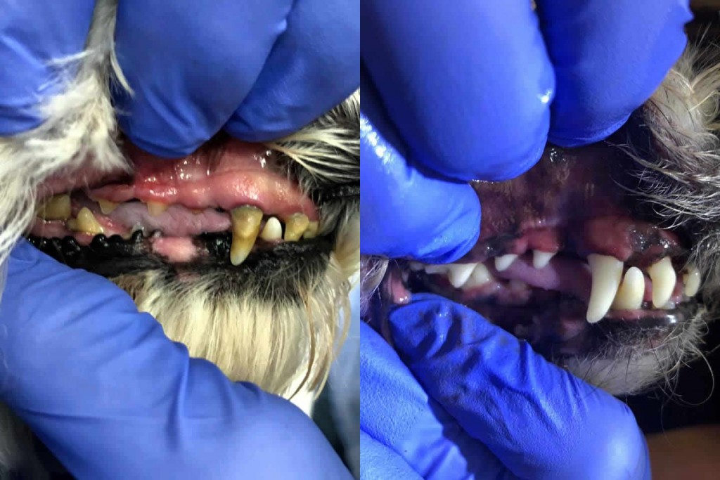 Before and After 7