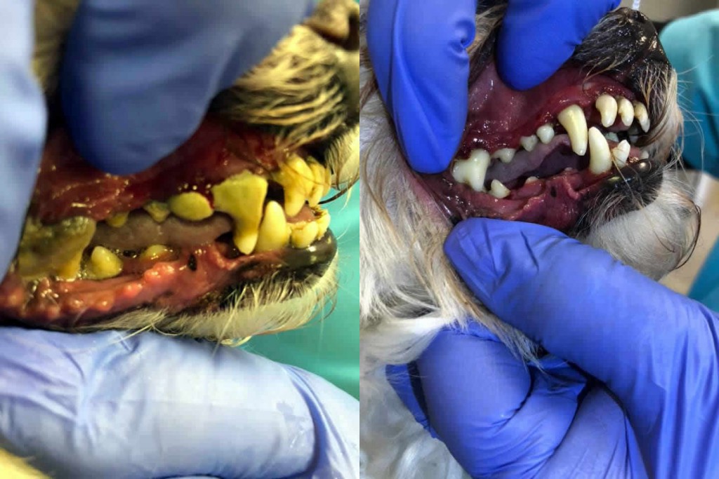 Before and After 8
