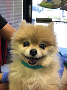 home page slide show 12