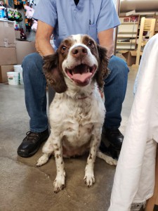 home page slide show 14