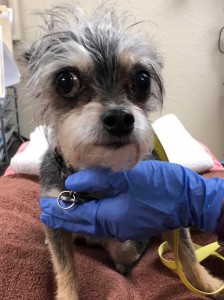 home page slide show 15