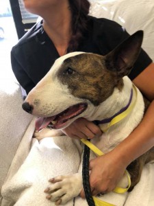 home page slide show 18