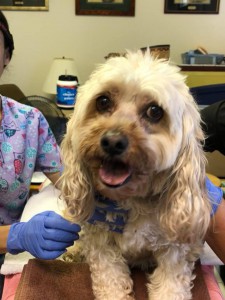 home page slide show 19