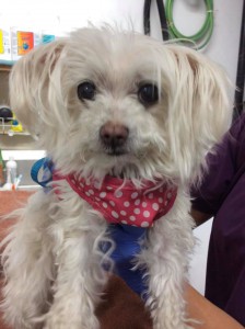 home page slide show 2