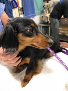 home page slide show 23