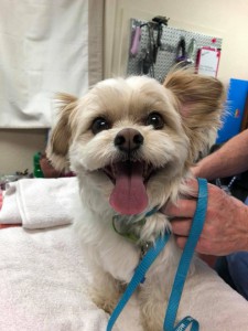 home page slide show 26