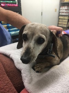 home page slide show 27