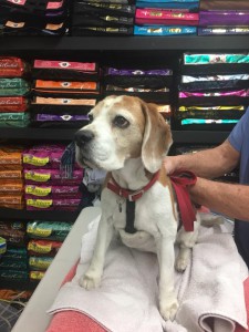 home page slide show 28