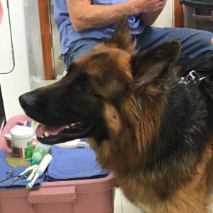 home page slide show 29