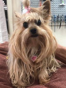 home page slide show 4