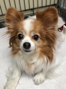 home page slide show 8