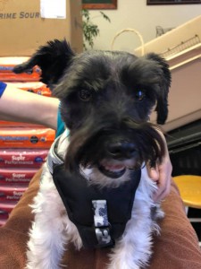 home page slide show 9